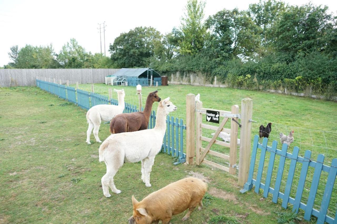 Alpaca Lodge Sittingbourne Exteriör bild