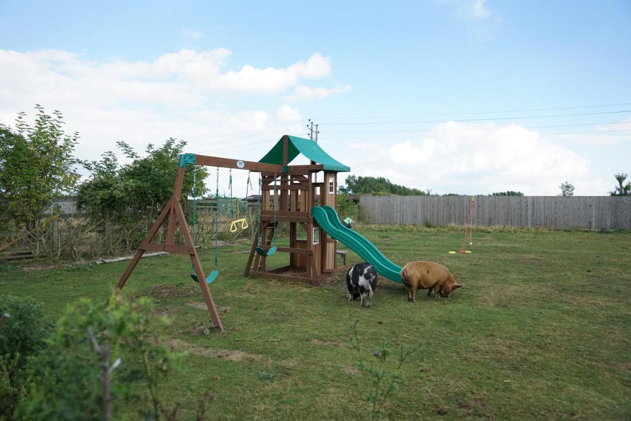 Alpaca Lodge Sittingbourne Exteriör bild